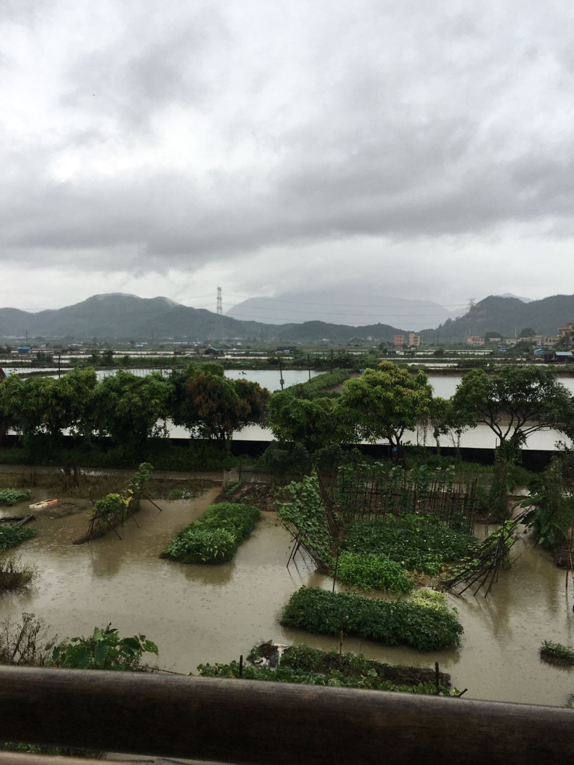 神湾镇未来一周天气预报及生活建议