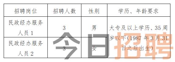 泾源县财政局最新招聘信息详解及解读