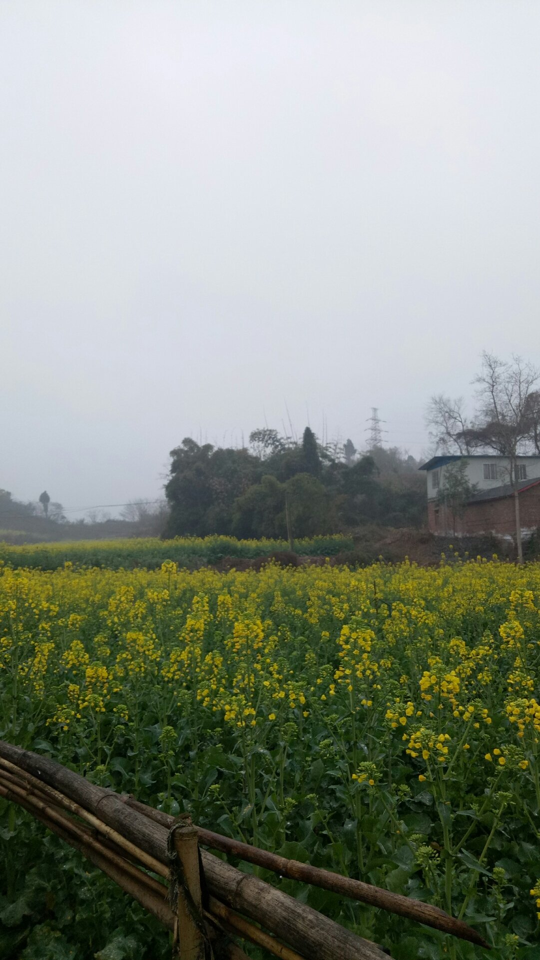 广发乡最新天气预报通知