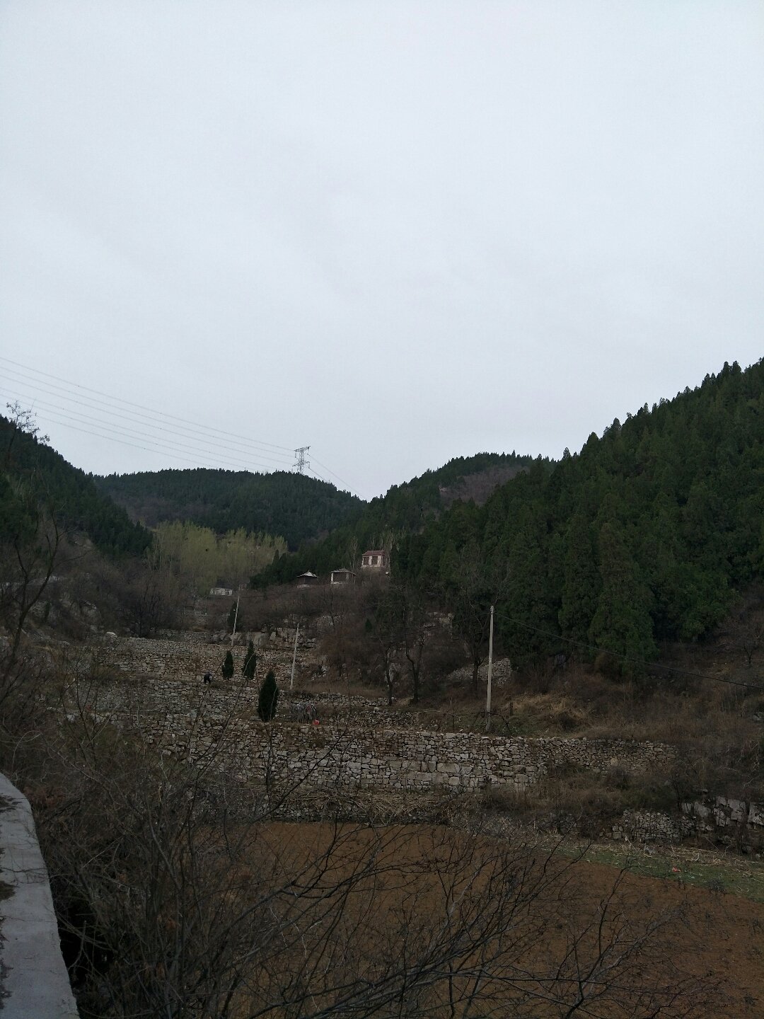 伏山镇天气预报更新通知