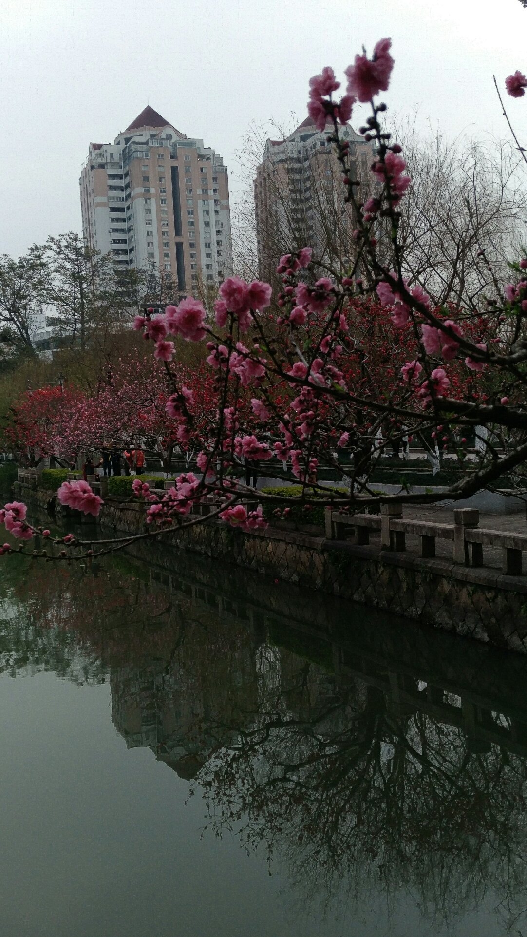 西门街道天气预报详解