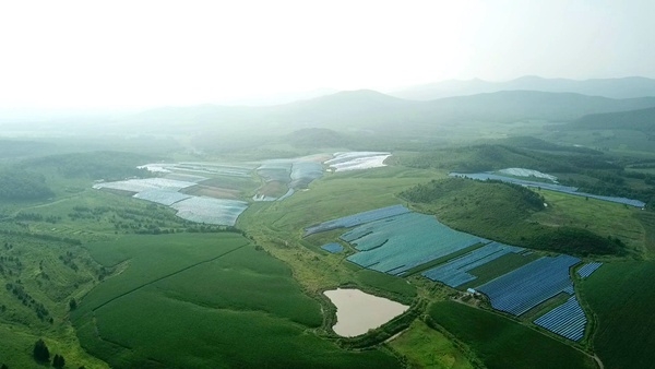 清河林场最新天气预报通知