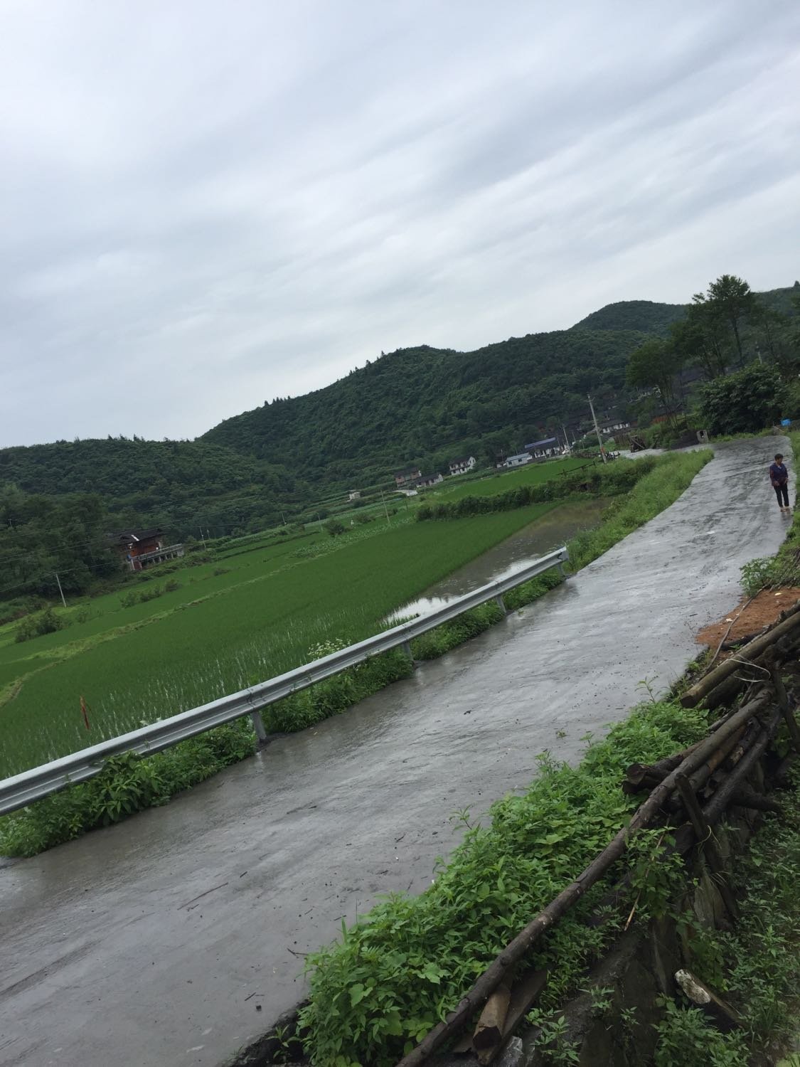 珍珠山乡天气预报与日常生活紧密相关