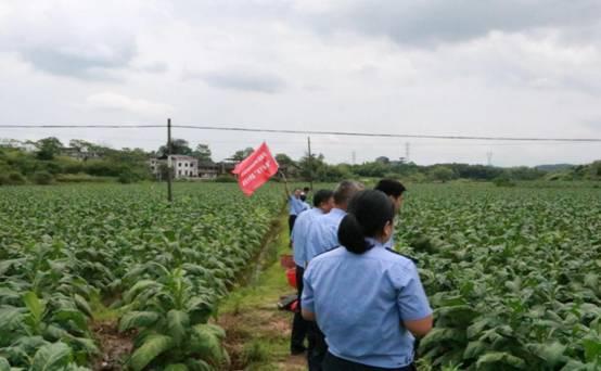 苏仙区司法局深化法治建设项目，服务社区群众获赞