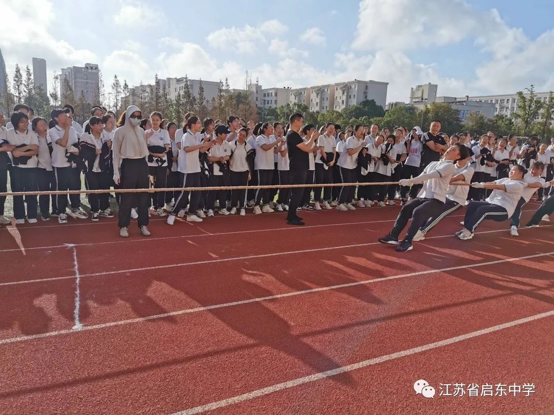 启东市初中创新项目，引领教育未来，培育明日之星