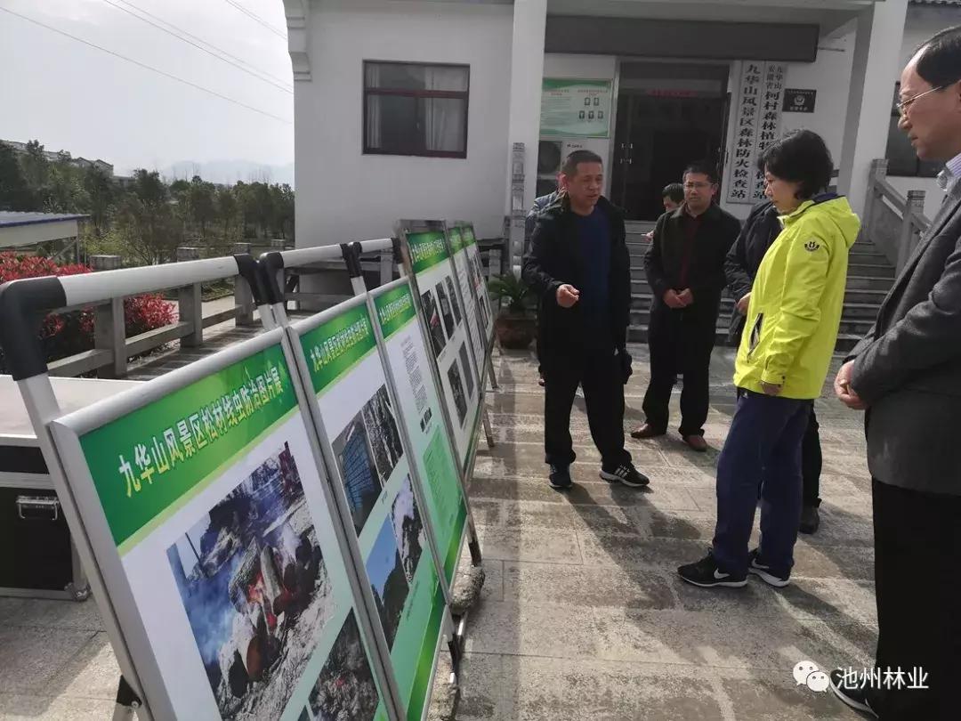 池州市经济委员会新项目，引领城市经济发展新篇章